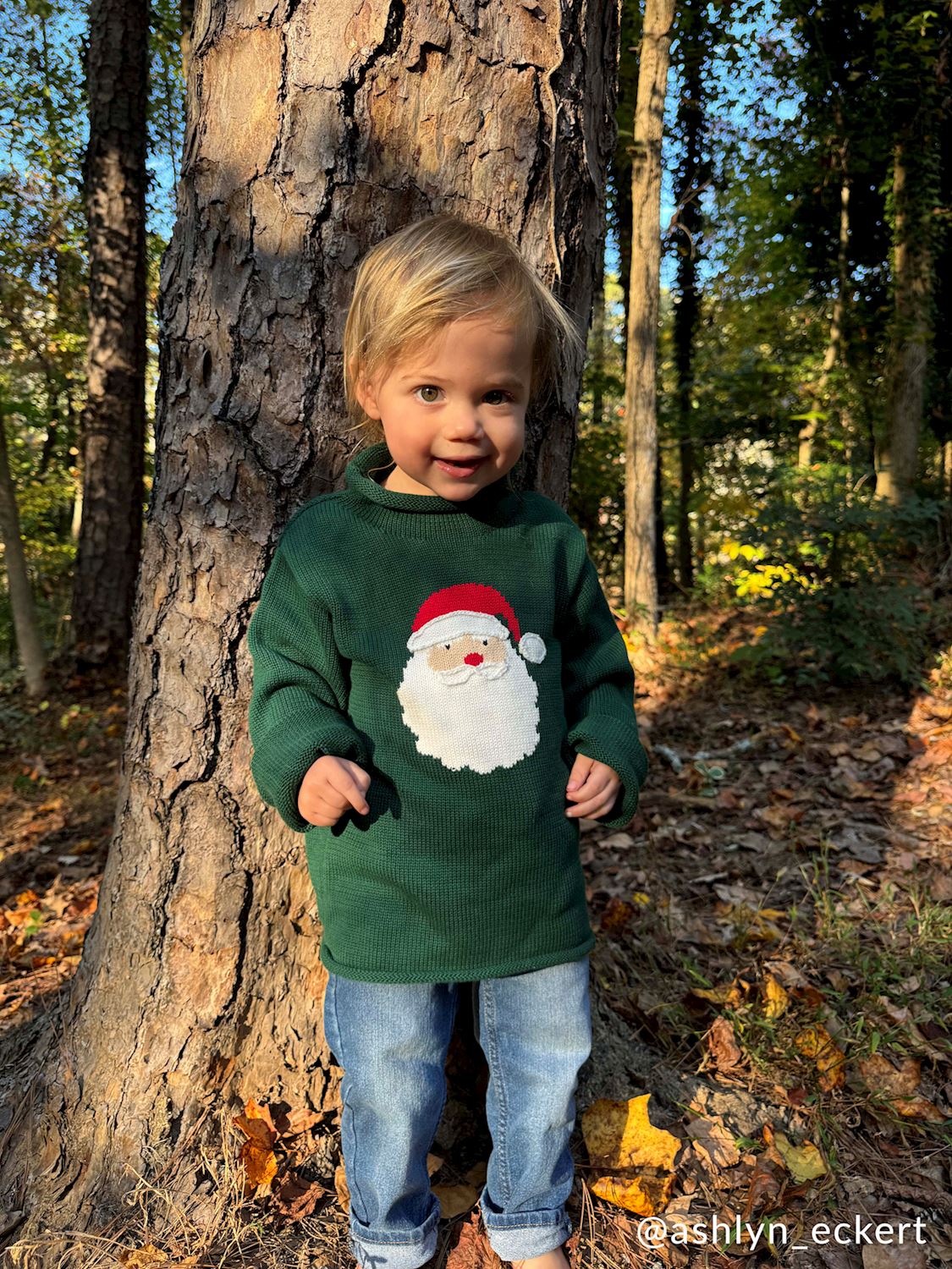 Rollneck Santa Sweater