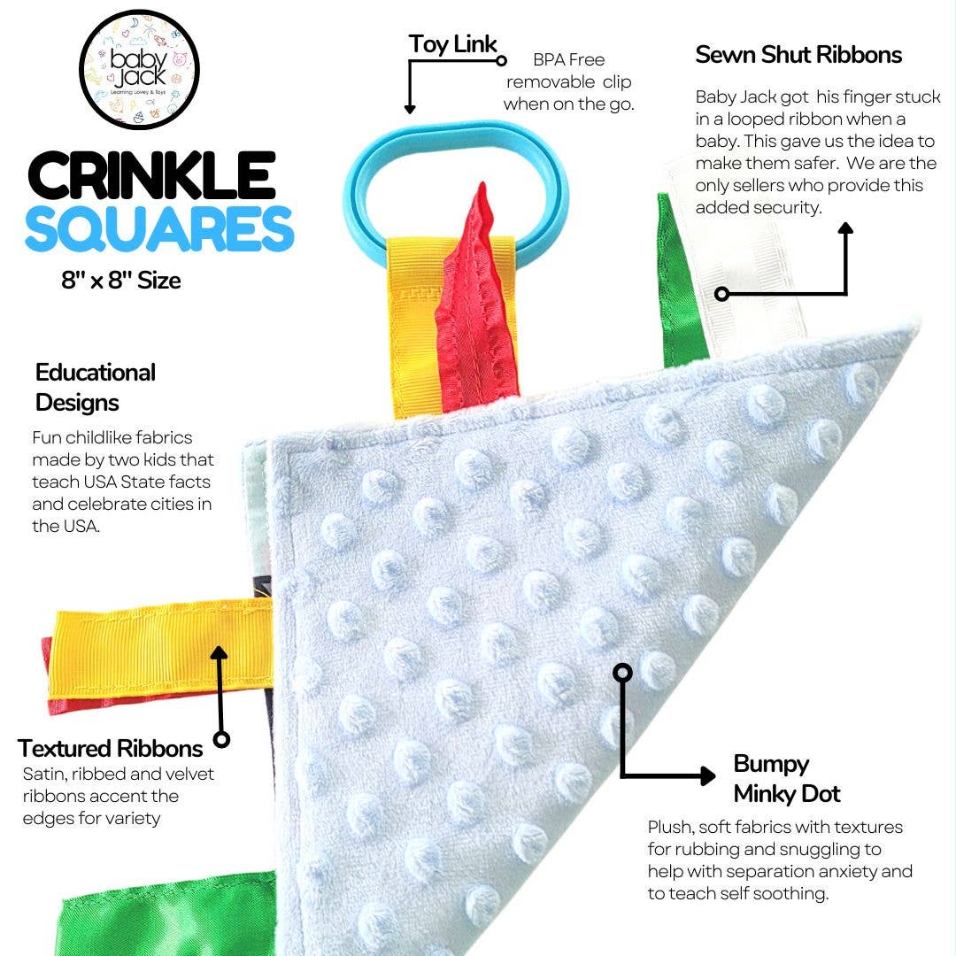 Wisconsin State Baby Crinkle Tag Square 8"x 8" Toy