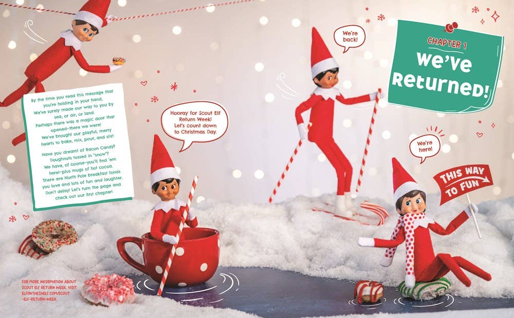 Elf on the Shelf Family Cookbook