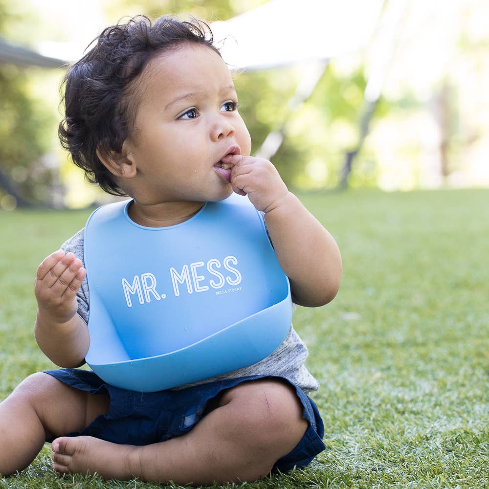 Mr Mess Wonder Bib