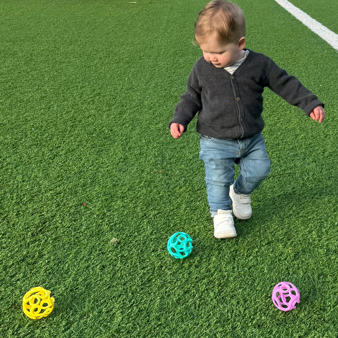 Wander Ball Teether: Grape
