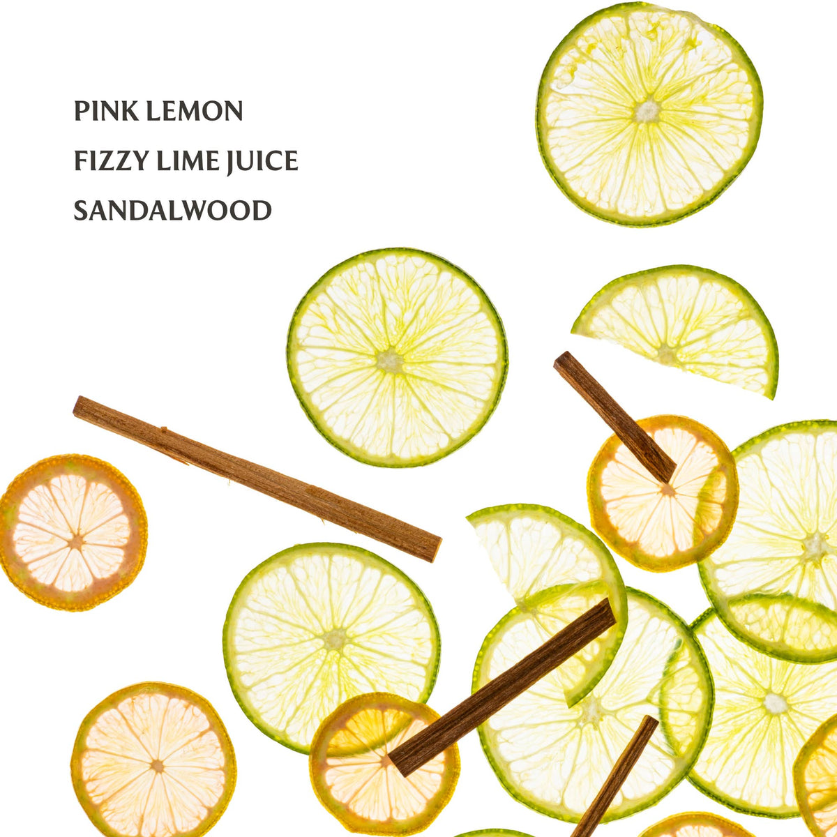 Touchland - Lemon Lime Spritz Power Mist Hydrating Hand Sanitizer