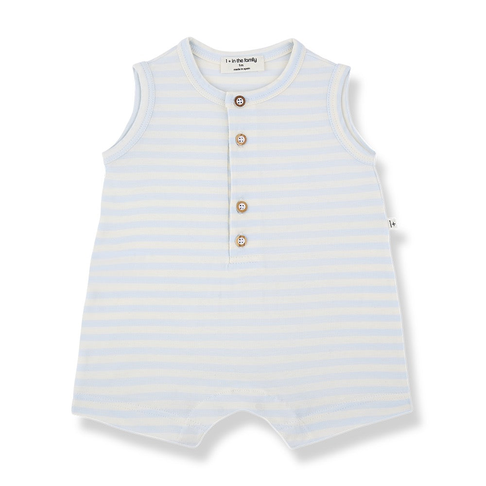 PEDRO Overall