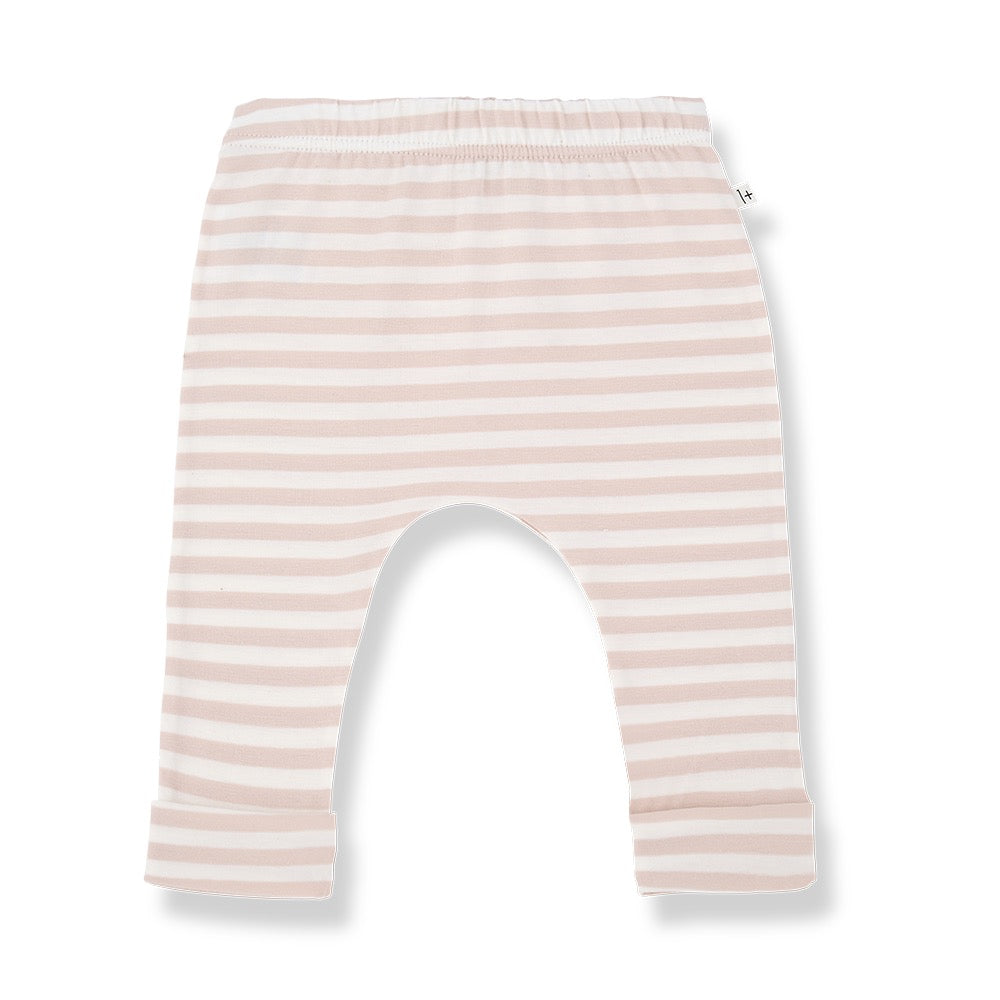 SAUL Leggings